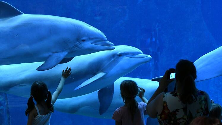 Delfinarium Nürnberg