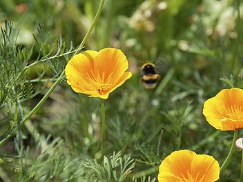 Wetter in Franken: Triste Regentage wohl endlich vorbei - mehr Sonne zum Wochenbeginn erwartet