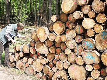 Kontrolle ist bei den Waldbauern in der Region angesagt, um die Borkenkäfer im Griff zu behalten. Foto: Archiv
