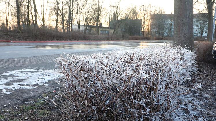 Weil einer der Schl&auml;uche beim Bew&auml;ssern geplatzt ist, spritzte Wasser auf einen angrenzenden Busch und einen Baum. Foto: Ronald Heck