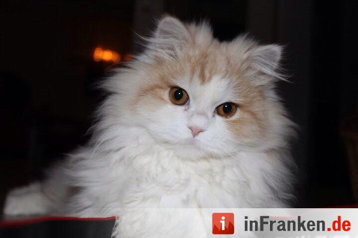 Foto: Daniela Büchner