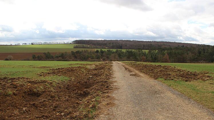 Wildschweinschäden in Münnerstadt.Heike Beudert