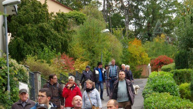 Viele Wegweiser