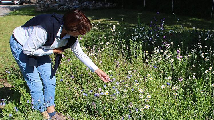 Luise Meyer-Bieber freut sich über  das Aufblühen einer vom Obst- und Gartenbauverein angelegten Blumenwiese.Dieter Britz