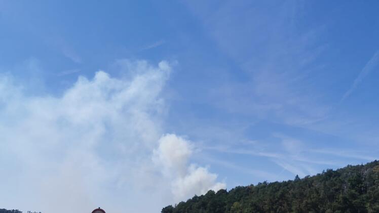 Waldbrand ruft Feuerwehr auf den Plan