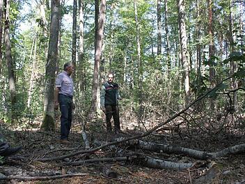 Waldbesitzer Gottfried Geiling und Revierleiter Benjamin Göbel stehen vor vertrockneten Jungbäumen.Foto: Hans Kurz