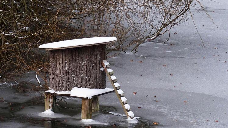 Winterimpressionen: Schwanenensee im Park von Schloss Rosenau.Foto: Jochen Berger