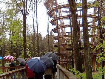 Die Herzogenauracher trotzten dem Regenwetter. Foto: privat