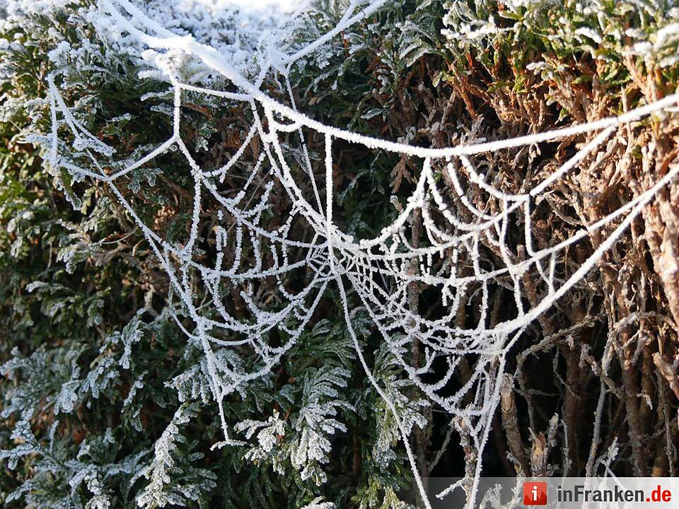 Eis und Schnee in Franken - die schönsten Winterleserfotos