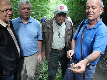 Eine Gelbbauchunke entdeckte Wolfgang Gnannt in einer Pfütze.Foto: Ralf Kestel