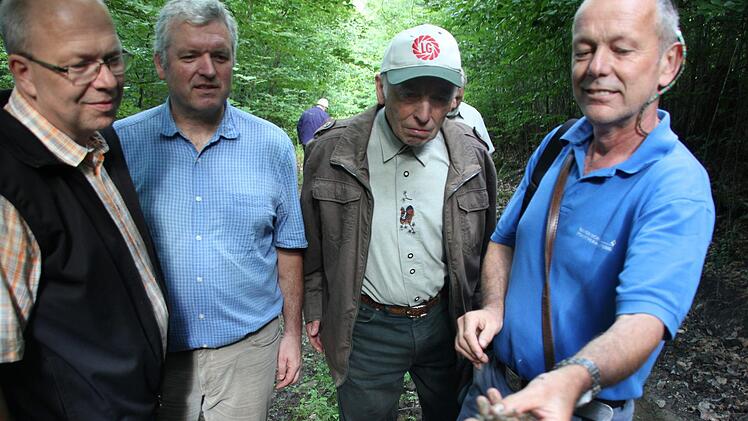 Eine Gelbbauchunke entdeckte Wolfgang Gnannt in einer Pfütze.Foto: Ralf Kestel