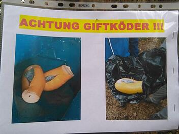 Blaue längliche Giftköder beunruhigen seit zwei Wochen  die Hundebesitzer rund um den Kellerwald. Die Polizei ermittelt.  Foto:privat