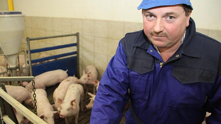 Mit einem Gewicht von 30 bis 35 Gramm werden die Ferkel angeliefert.