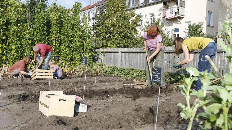 Blick in den Bamberger Sortengarten. Die Häuser im Hintergrund stehen an der Spitalstraße. Foto: Matthias Hoch