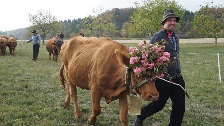 Weideabtrieb in Ginolfs. Foto: Marion Eckert