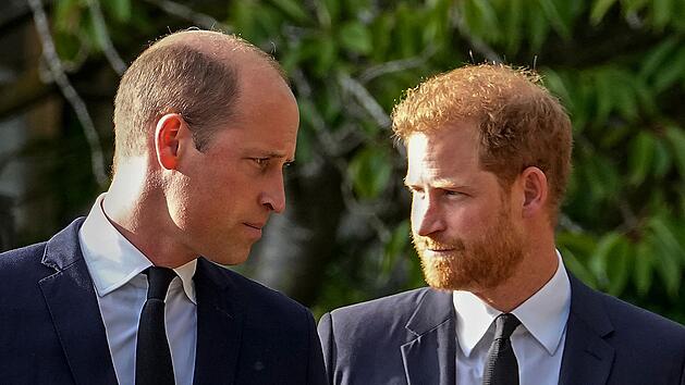 Prinz William und Prinz Harry