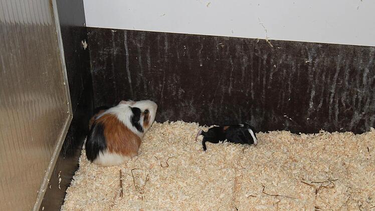 Foto; Anette Schreiber