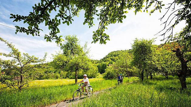 Im S&uuml;den der Fr&auml;nkischen Schweiz f&uuml;hren Radwege durch beeindruckende Felsformationen.