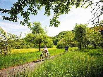 Im Süden der Fränkischen Schweiz führen Radwege durch beeindruckende Felsformationen.