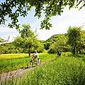 Im Süden der Fränkischen Schweiz führen Radwege durch beeindruckende Felsformationen.