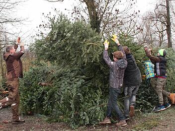 Unter der Regie von Jugendleiter Jörg Karger stapelt die Fischerjugend Gremsdorf die nicht mehr gebrauchten Weihnachtsbäume. Foto: Johanna Blum