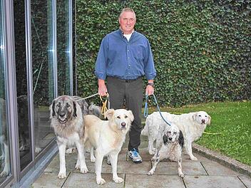 Die Schl&uuml;ssel f&uuml;rs Tierheim hat er schon wieder abgegeben: Robert Pfuhlmann .  Foto: RiegerPress
