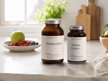 Liebscher & Bracht