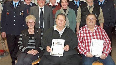 Bei der Ehrung (von links hinten): Kommandant Bernd Krauß, Rudi Krauß, 1. Vorsitzender und 3. Bürgermeister Winfried Weinbeer, Rudolf Schidlo, Edeltraud Sünkel, stellvertretender Kommandant Markus Barnikel, Michael Haas, 2. Vorsitzender Günther Werner sowie (sitzend von links) Erika Krauß, Kurt Linsner und Siegfried Lippert  Foto: Alfred Thieret
