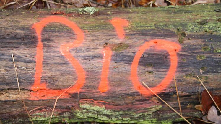 Der Schriftzug ,Bio' auf diesem Stamm heißt nicht etwa Biomasse, sondern bedeutet, dass der Stamm im Wald liegen bleibt und als Totholz vielen Tier- und Pflanzenarten Heimat sein soll.
