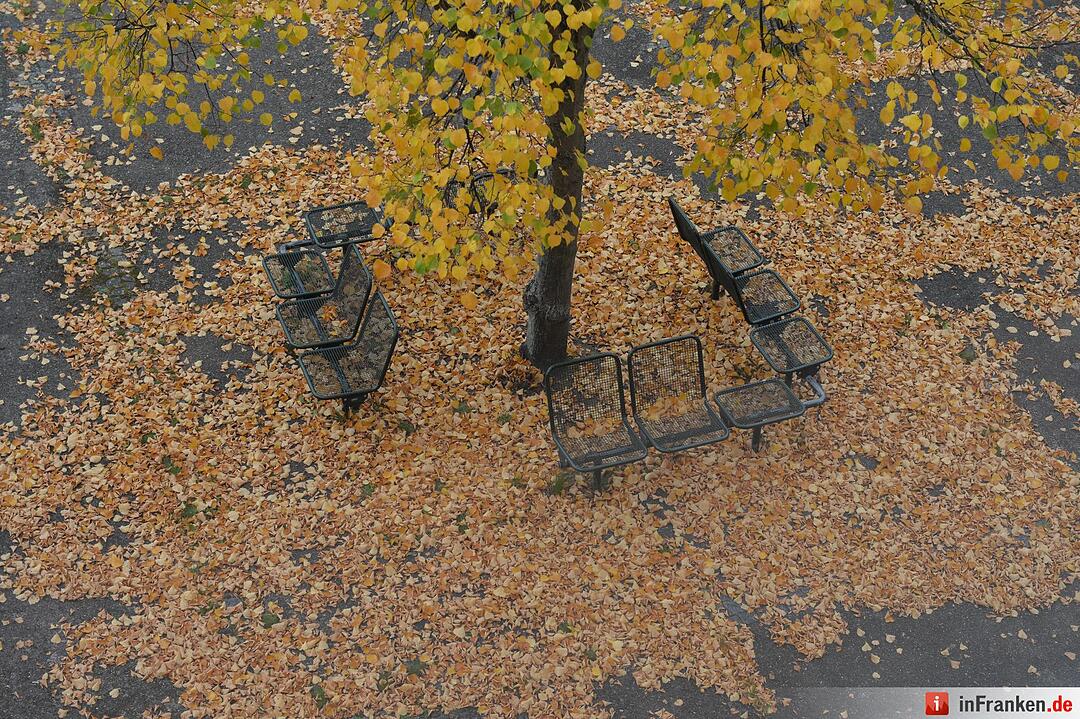 Herbstimpressionen Bamberg