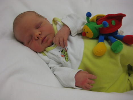 Babygalerie 267