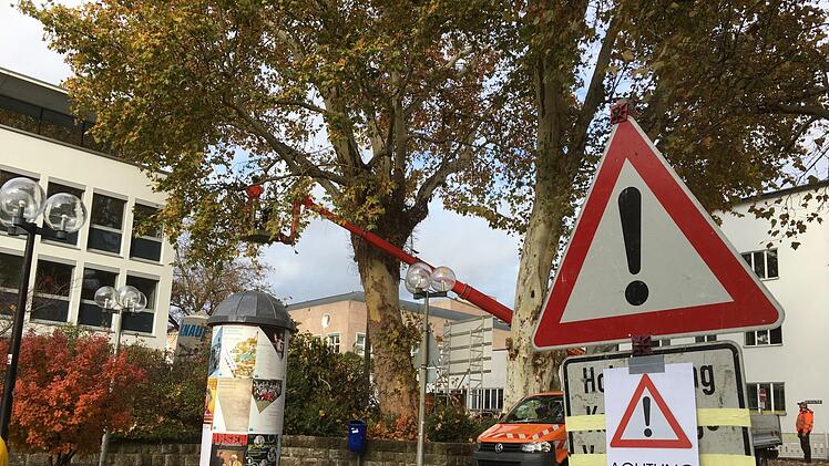 Rund um das Landratsamt. Foto: Ralf Ruppert