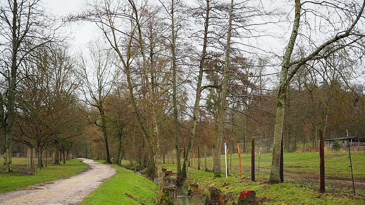 Entlang des Baches,  der neben dem Hirsch-Gehege verläuft, wird das Ausmaß des Schadens deutlich.