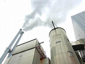 Den Bertelsdorfern stinkt's. Bei der Bürgerversammlung wurde über einen undefinierbaren Geruch diskutiert und gemutmaßt, dass er vom Müllheizkraftwerk kommt. Der Oberbürgermeister verneinte. Foto: CT-Archiv