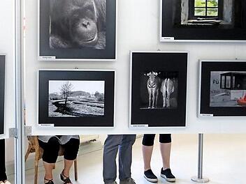 Die Fotos zogen die Besucher in den Bann.  Fotos: Richard Sänger