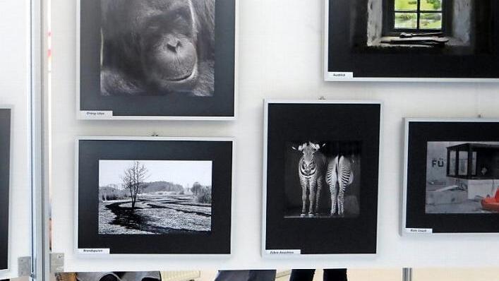 Die Fotos zogen die Besucher in den Bann.  Fotos: Richard Sänger