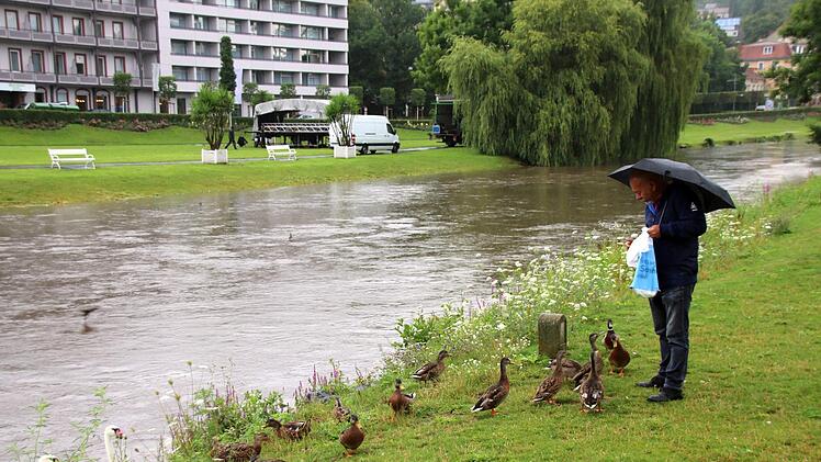 Die Enten sind dankbar, auch bei Regenwetter im Rosengarten gefüttert zu werden. Im Hintergrund sind schon Arbeiter dabei, eine Bühne auf der Medienwiese aufzubauen - für das Rakoczyfest am Wochenende. Foto: K. Kupka-Hahn