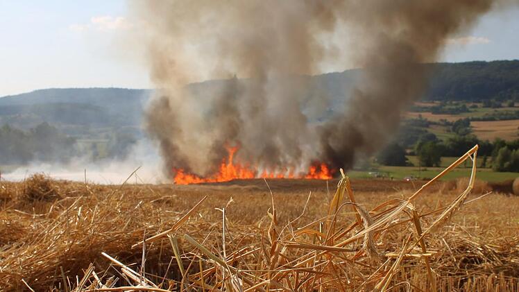 Ein Flächenbrand sorgte am Samstag bei Pretzfeld für einen Großeinsatz. Foto: Feuerwehrinspektion Forchheim