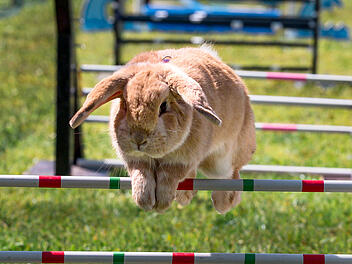 M&ouml;hrchen-Cup 2023