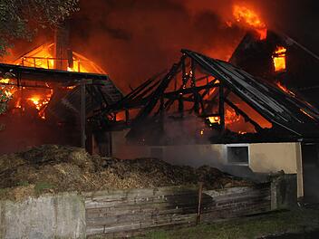 In der Nacht zum Donnerstag hat in Reichenbach (Kreis Kronach) ein Bauernhof gebrannt. Zehn Kälber kamen ums Leben. Es entstand ein Schaden in Millionenhöhe.  Foto: Veronika Schadeck