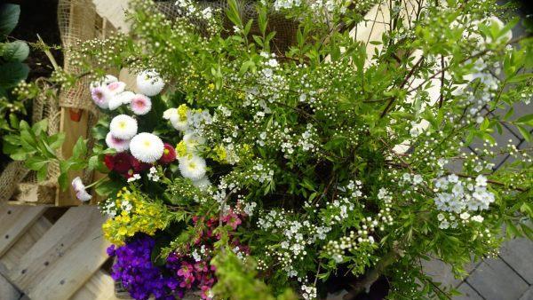 Vier bis sieben Sorten sorgen für eine bunte Mischung. Foto: inFranken.de