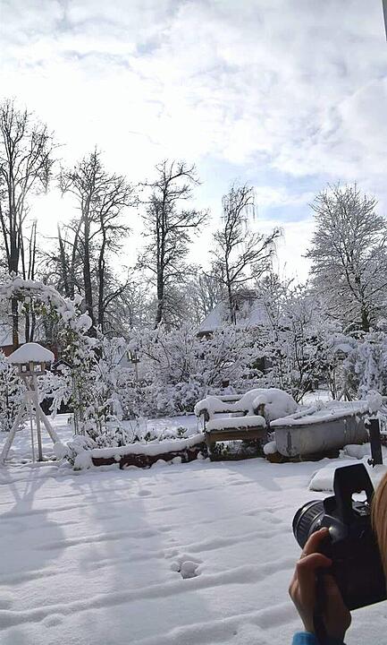 Schnee und Eis - Die schönsten Aufnahmen aus Franken