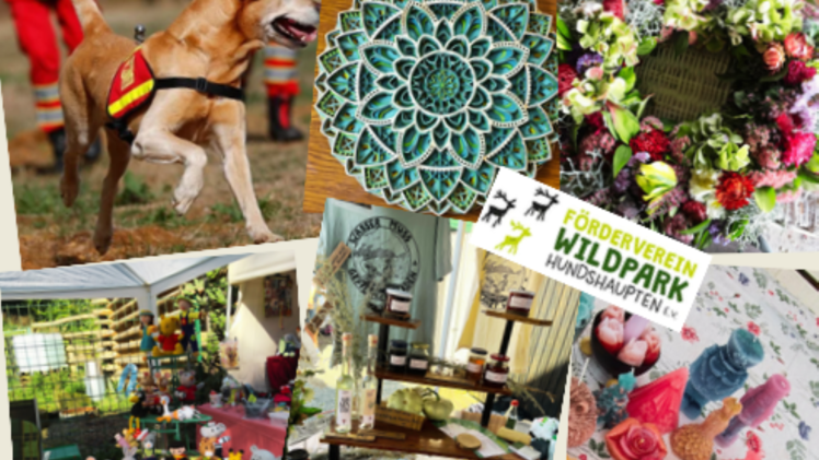 Collage Herbstfest Forchheim