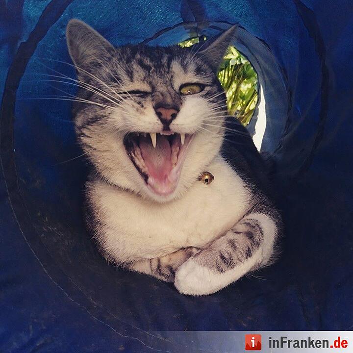 Foto: Sabrina Einwich