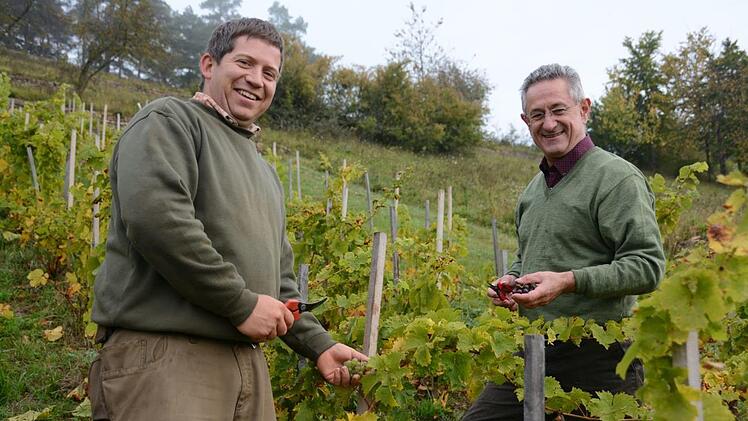 Winzer Marcel Hümmler und Roland Lenhart, Leiter der Unteren Naturschutzbehörde, freuen sich über die erste Ernte des Gemischten Satzes Elisabeth Assmann