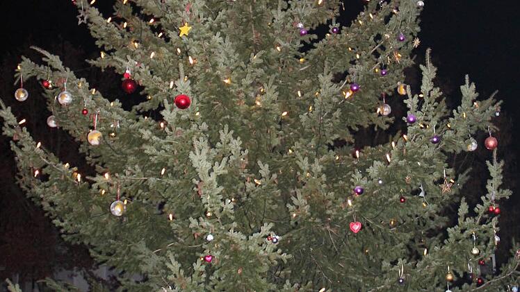 Der Baum strahlt auch nachts. Foto: Johanna Blum