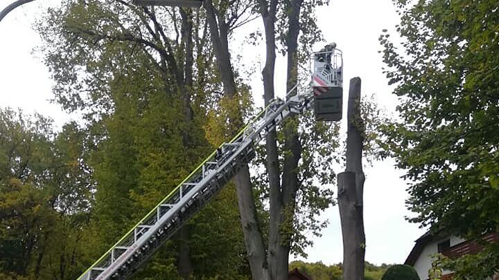 Lichtenfels: Sturm "Ignatz" hinterlässt schwere Schäden