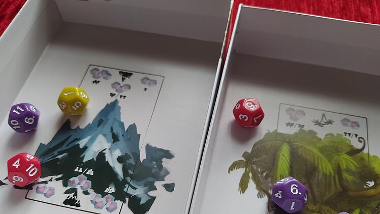 Queen of 12 im Test - Fantastische Mischung aus Karten- und Würfelspiel