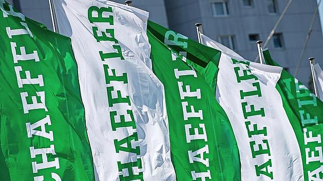 Die Schaeffler-Fahnen werden wohl bald auch auf dem Gel&auml;nde der Firma Melior Motion wehen.