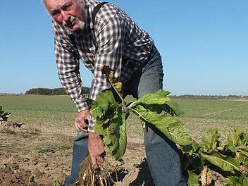 Rudi Schwandner zieht die Wurzeln aus dem Boden, den er vorher mit den Bohrflügeln eines Traktor-Anbaugerätes aufgelockert hat. Fotos: Manfred Welker